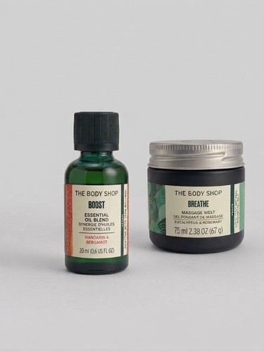 The body shop - body,